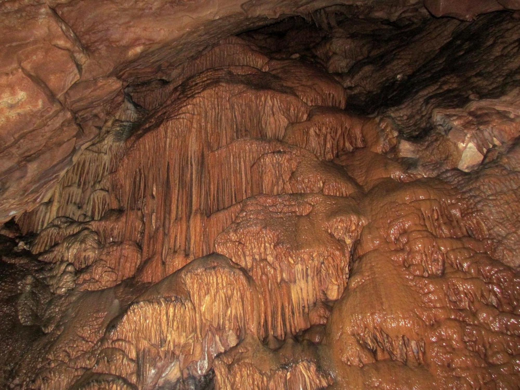 Pension Na Meji Pivka Exteriér fotografie